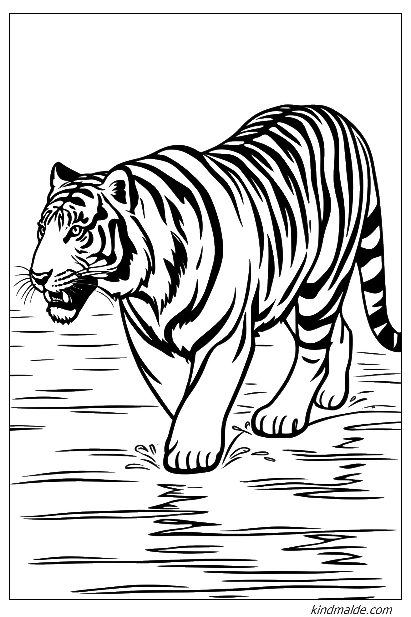 Malvorlage Tiger auf dem Wasser